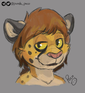 3136996_pandapaco_801amadeus_clyde.jpg