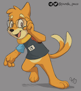 3136999_pandapaco_804wiirareu.jpg