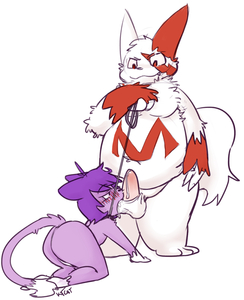Late Zangoose Day Special