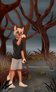 Alone in the Wilderness