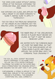 Fox Siblings' Discovery Comic: The Joy of Circumcision