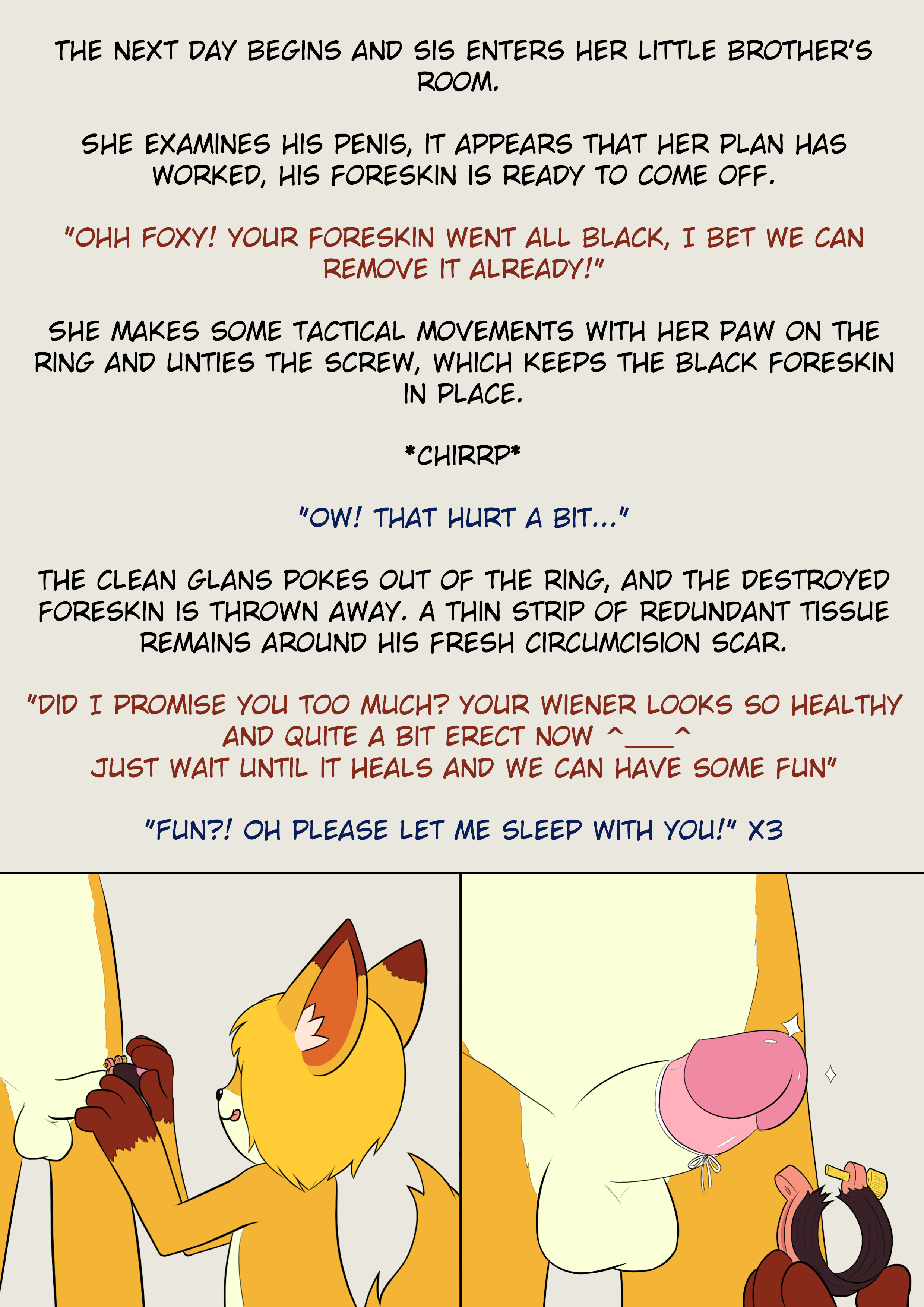 3154113_katsureitan_newvixen004.png