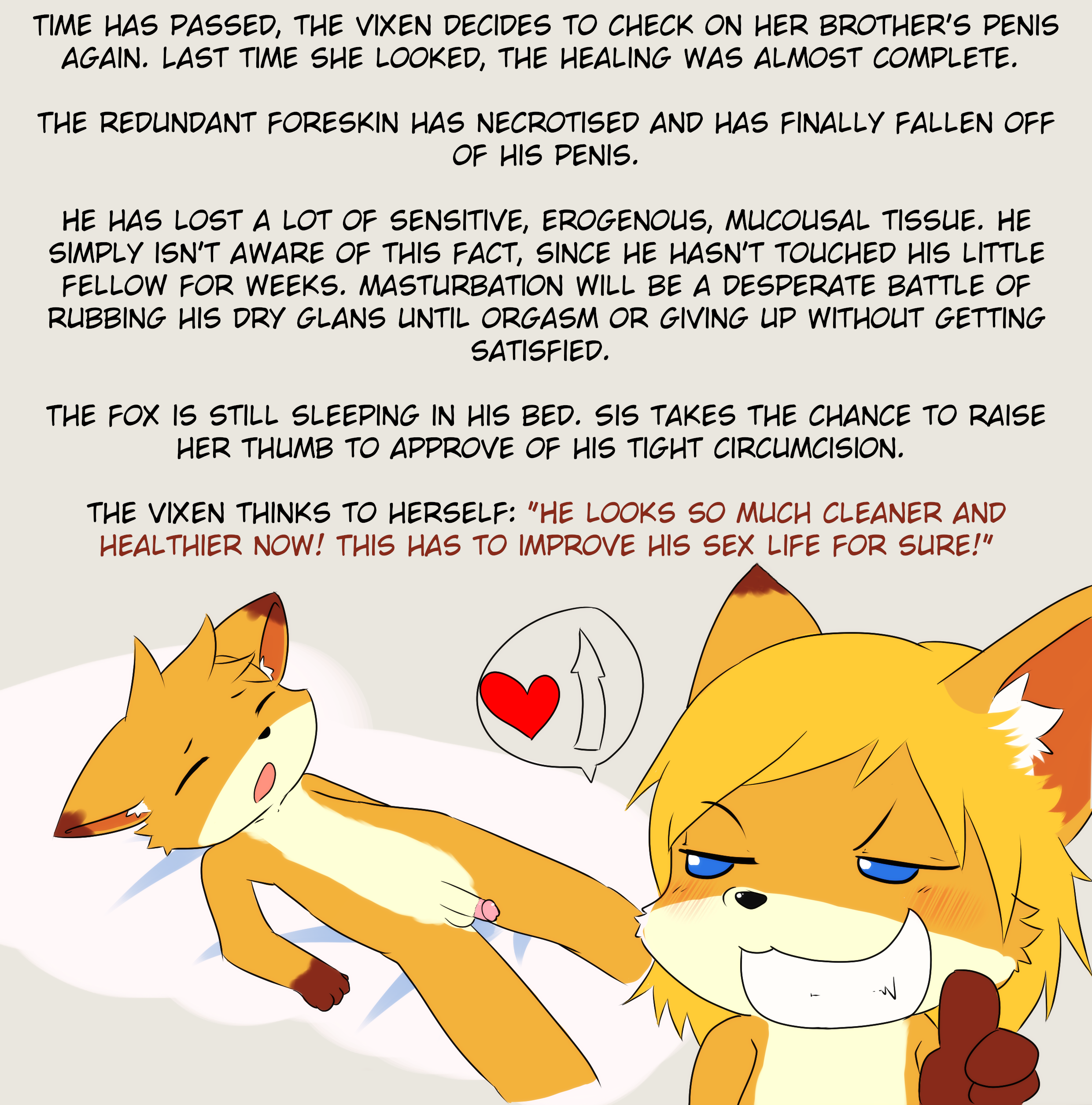 3154114_katsureitan_newvixen005.png