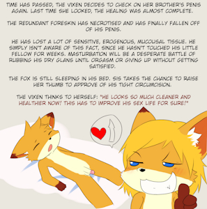 3154114_katsureitan_newvixen005.png