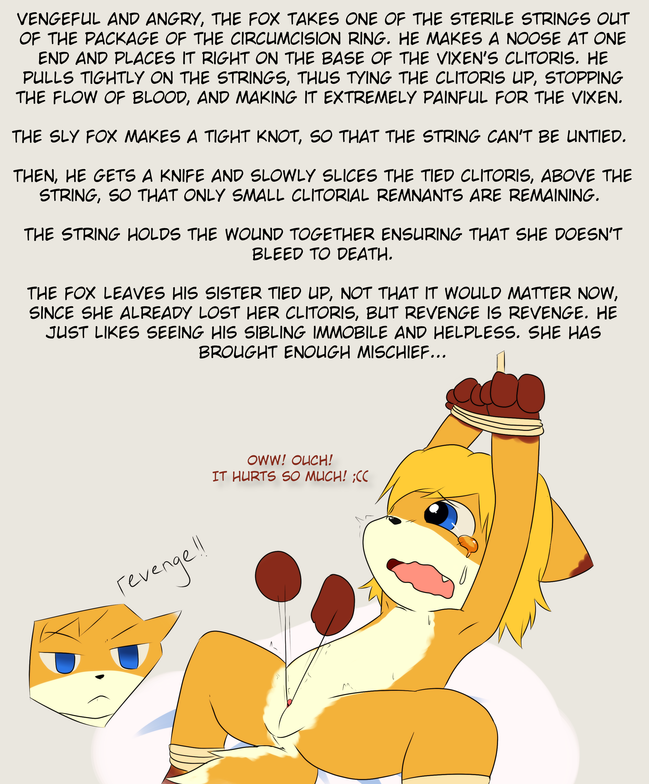 3154243_katsureitan_newvixen008.png