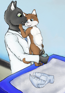Getting The Sample 2