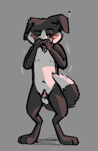 gay puppy