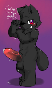 Ready for Fun ?