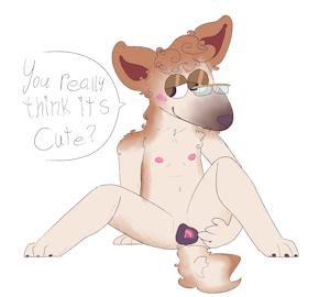 Dog coochie