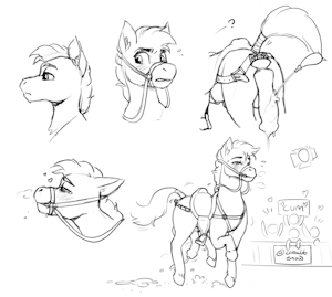 Pony Show