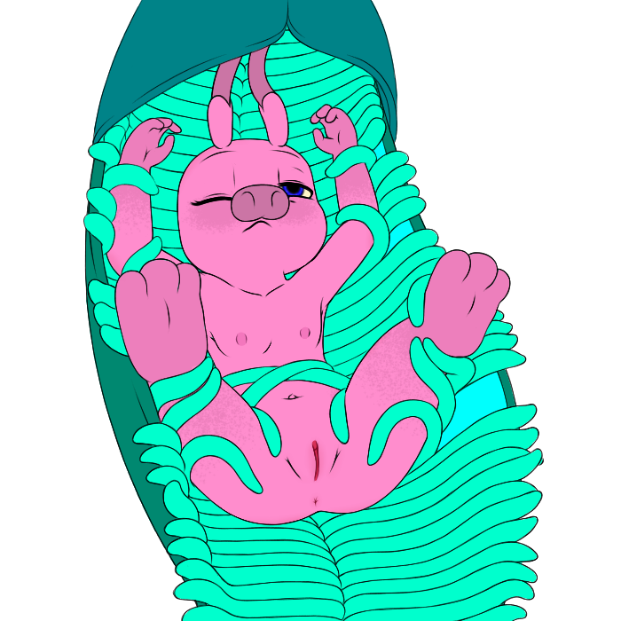 3205954_YacteruC1_1594842432436.png