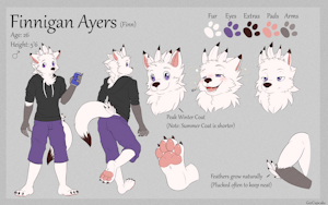 Finnigan Ayers - Reference