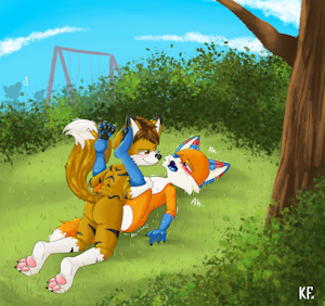 Two foxes in the park