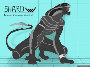 Xeno logs: Shard