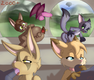 2000 + watchers