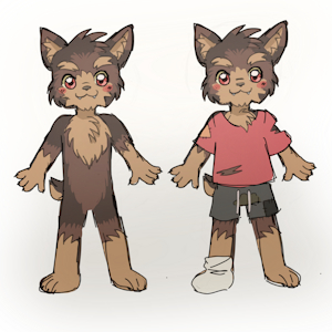 Dog Brothers