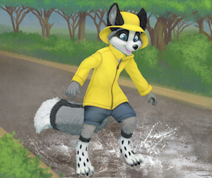 Jumping on puddles