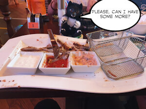 3247447_Balto_1597846200-picsay.jpg