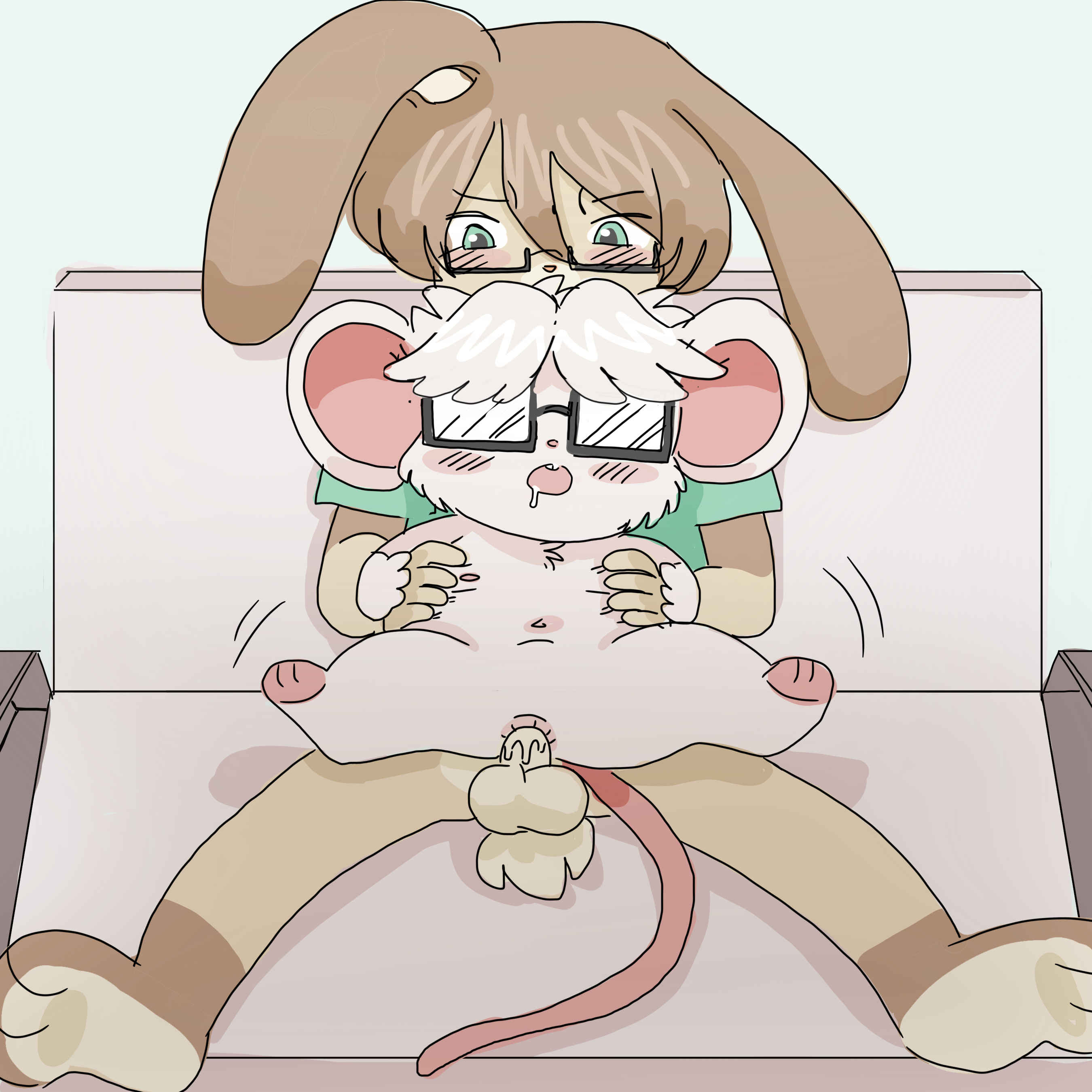 3252648_Sesame_cbf4a1fc-1b8e-48e0-8ef4-79087661cf12.png
