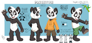 Paco Panda Ref Sheet
