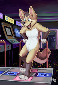 DDR Arcade
