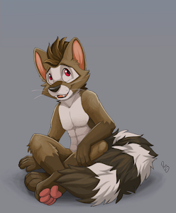 ALX Ringtail