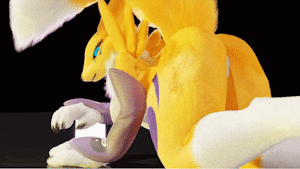 Your Renamon Animation