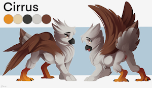 Cirrus - Ref sheet