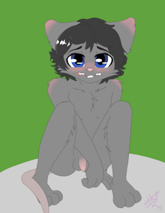 Traped mouse