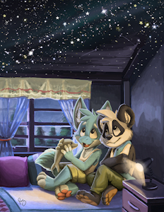 Dolphins and Stars