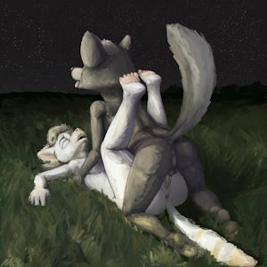 under the stars