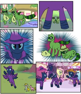 Mare do well stare