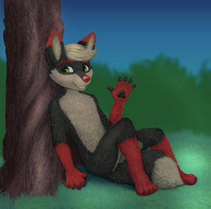 Shy