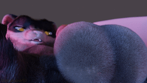 Tai Wiggle 2