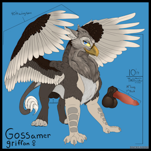 OC: Gossamer Griffon