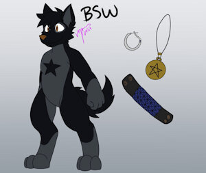 BlackStarWolf100