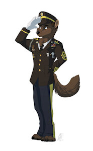 Kevin the Military Wolf
