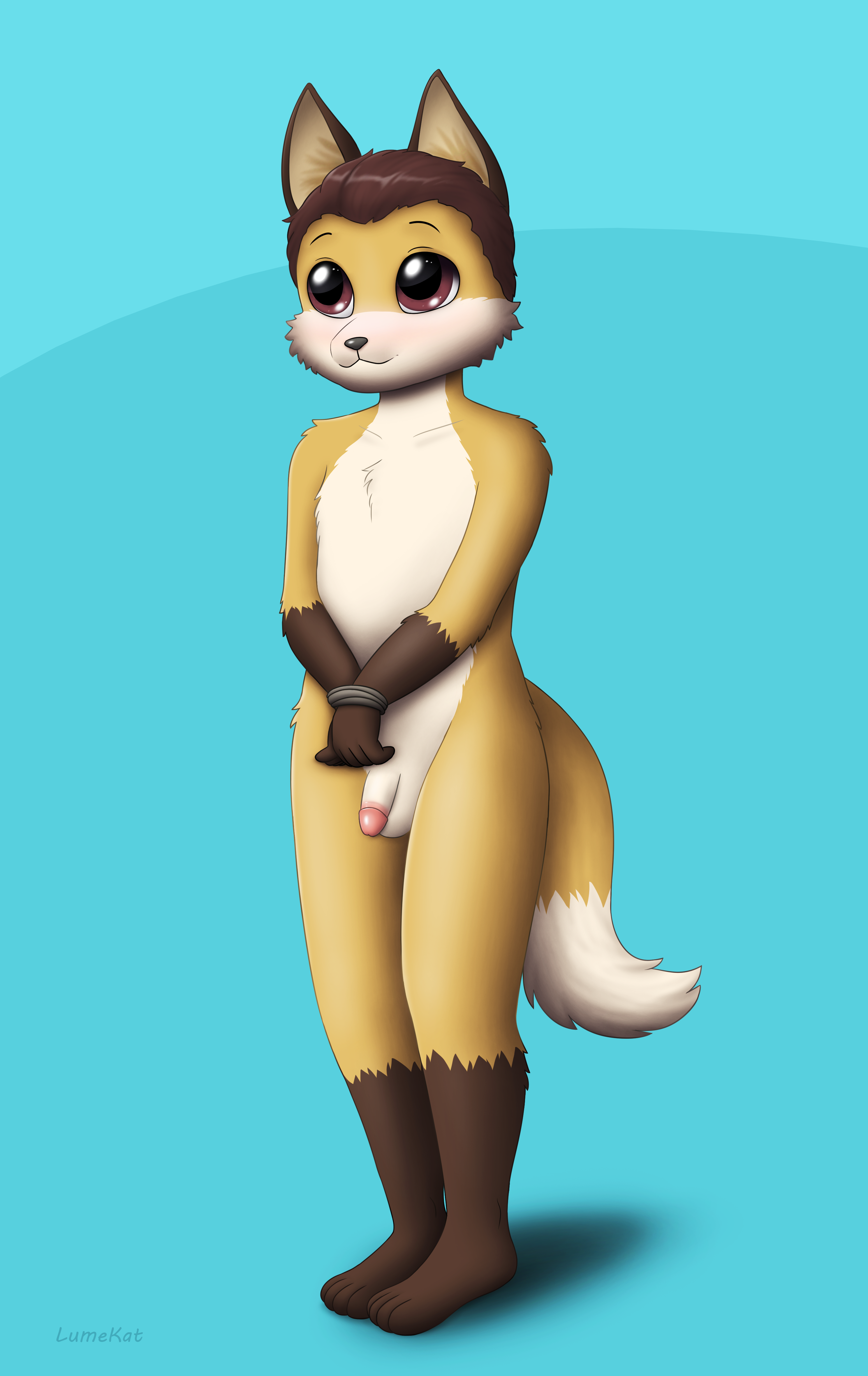 3331064_JinxMcKenzie_3095958_lumekat_foxboi3_circumcised.png