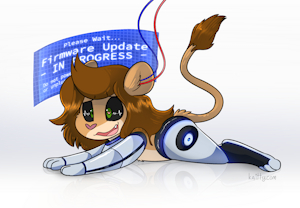 Firmware Update A