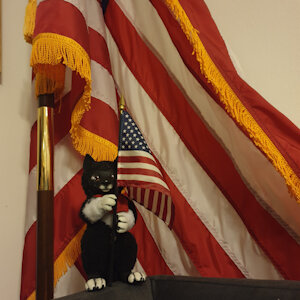 Proud and happy Little Balto