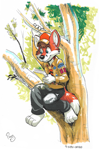 Tuckky BoyScout