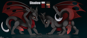 Shadow - Ref