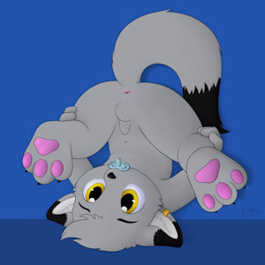 3365100_KitShoKat__v1.png