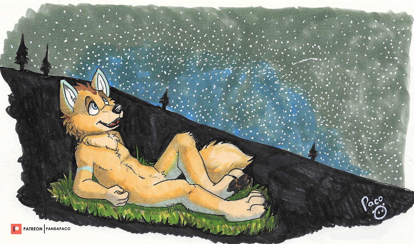 3372843_pandapaco_866foxster_stargazing.png