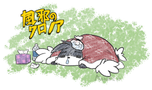 'Kaze' no Klonoa