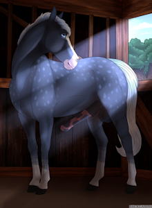 Playful stallion