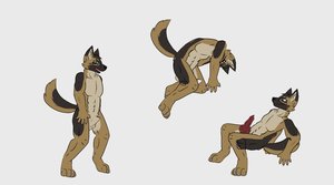 New GSD Character Rig