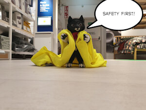 Safety First!