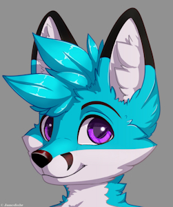 Renard Vulpes