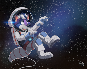 Raccoon in Space